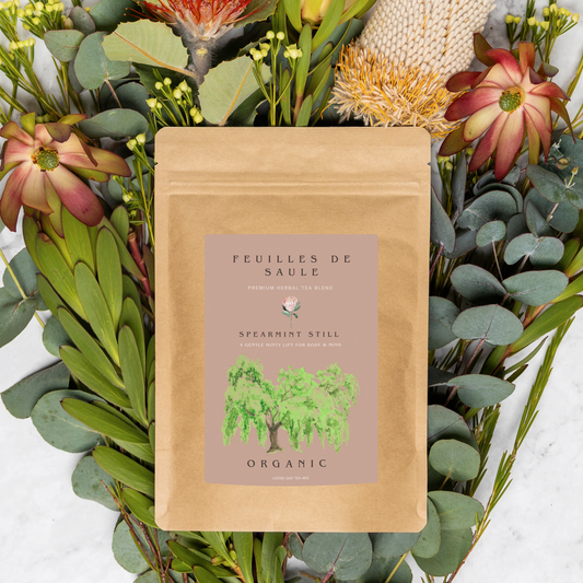 Spearmint Still - Refreshing Tea for Digestive Comfort & Balance