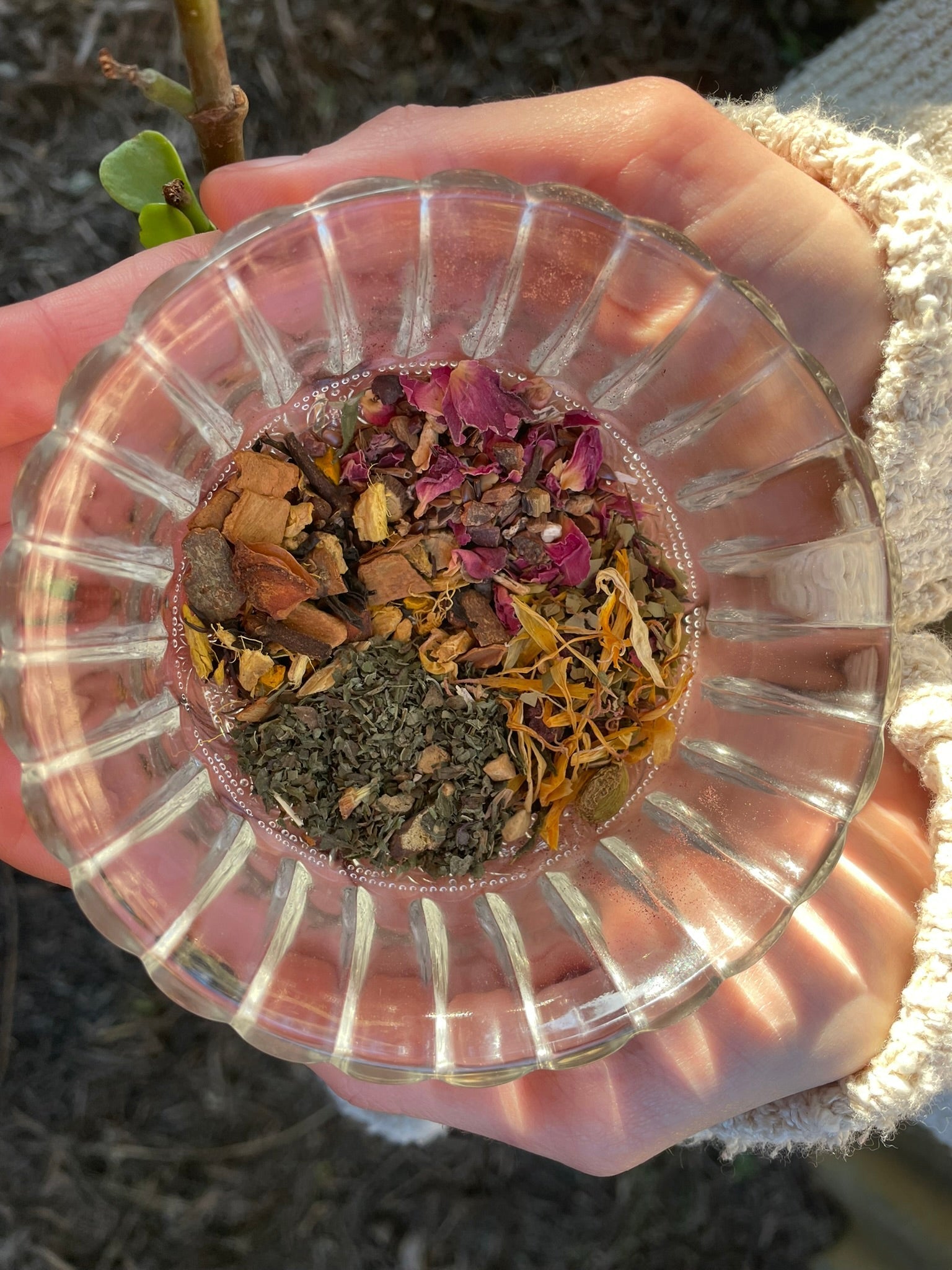 Sipping with Purpose: The Benefits of Herbal Tea