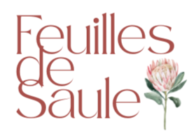 Feuilles de Saule 